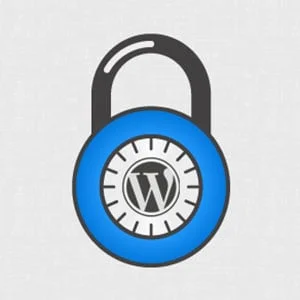 اسکن امنیتی قالب و افزونه وردپرس