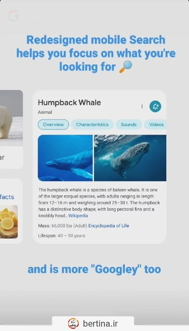 سرعت سایت در جی تی متریکس