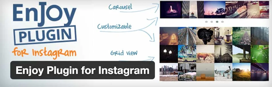 پلاگین Enjoy Instagram
