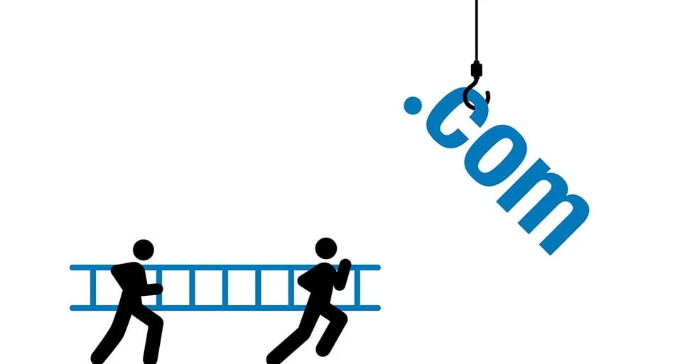 دامنه های گران قیمت