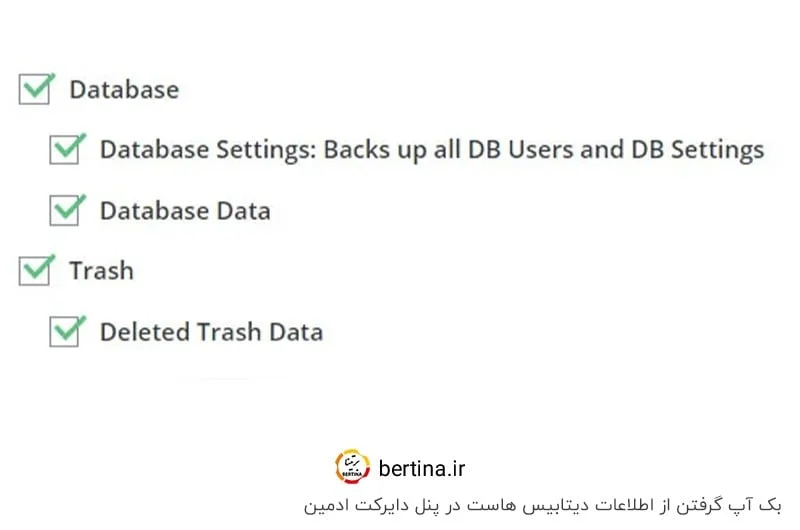 بکاپ از دیتابیس هاست در دایرکت ادمین