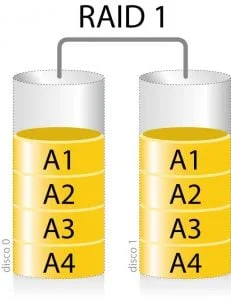 RAID1