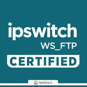 WS FTP Professional