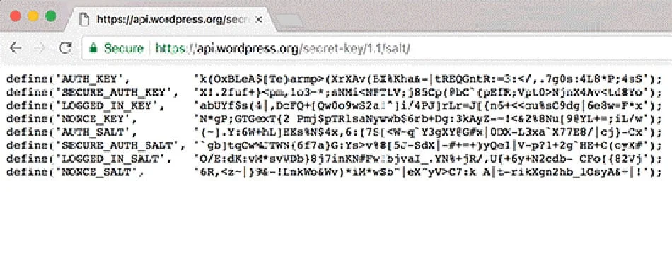 WordPress Salts generator