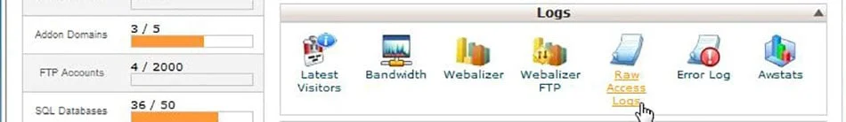cpanel_raw_log