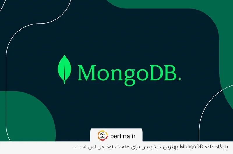 دیتابیس MongoDB؛ بهترین دیتابیس برای هاست نود جی اس