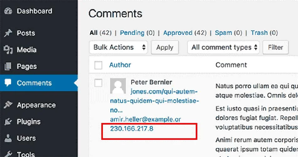 نظرات وردپرس